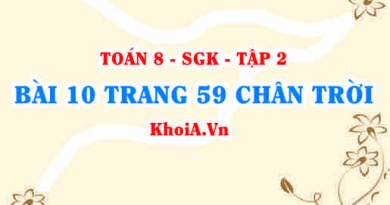 Bài 10 trang 59 Toán 8 Chân trời sáng tạo Tập 2